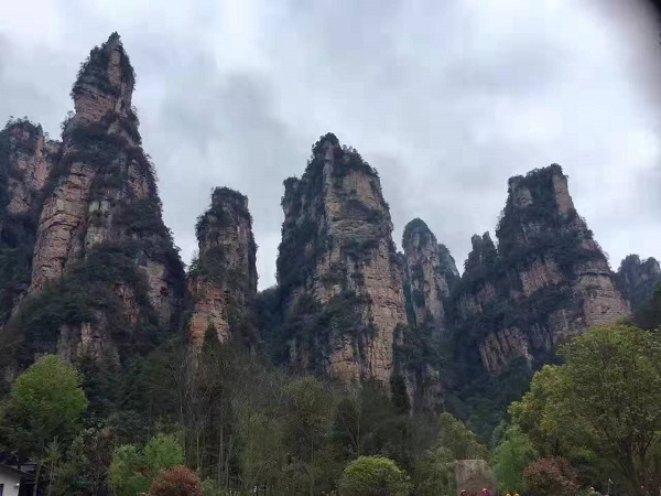 张家界最佳旅游季节：探索美景，几月去最合适