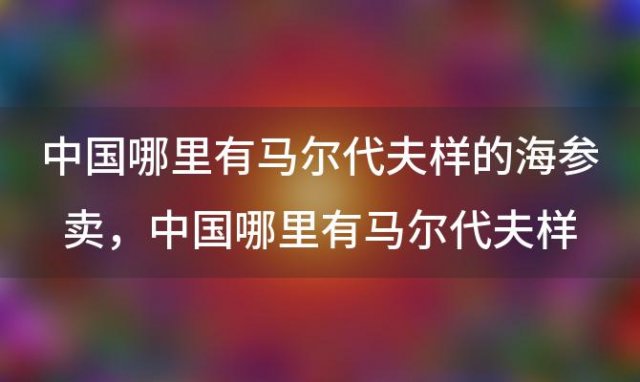 中国哪里有马尔代夫样的海参卖，中国哪里有马尔代夫样的海岸