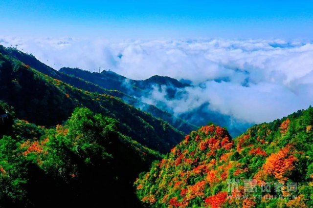 国庆到四川宣汉的巴山大峡谷游玩可享多重优惠