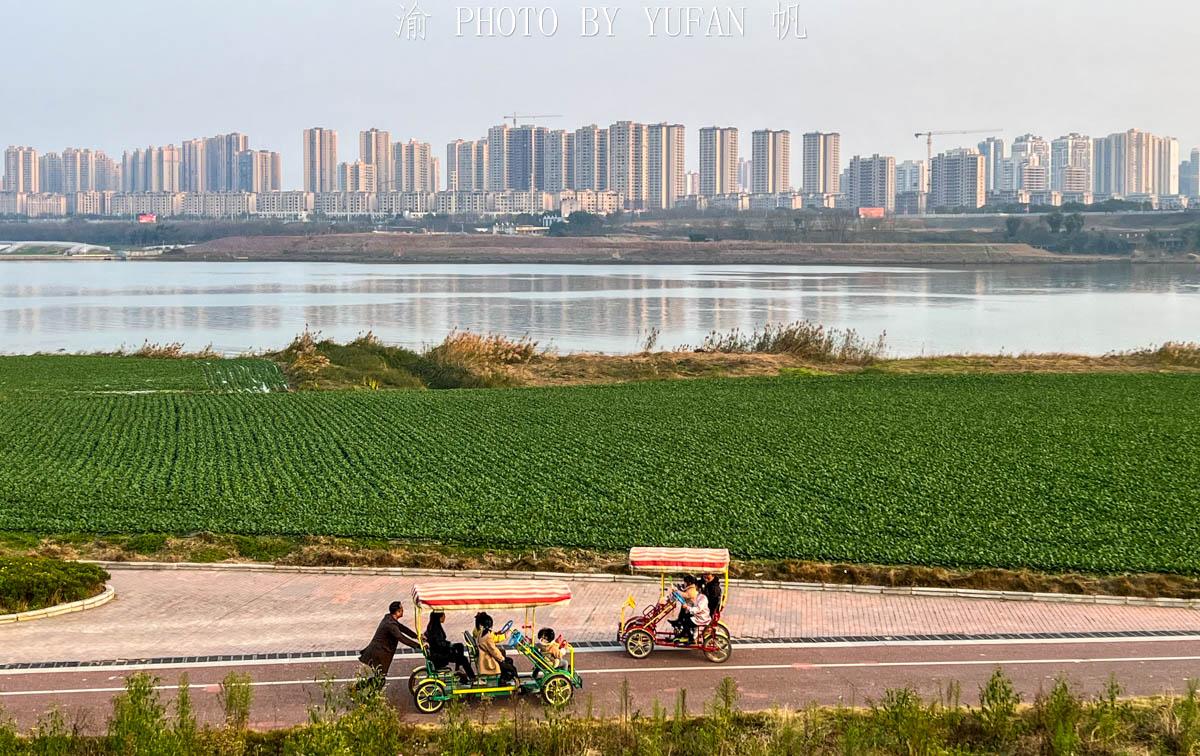 重庆潼南满城都是大公园，重庆最美郊区