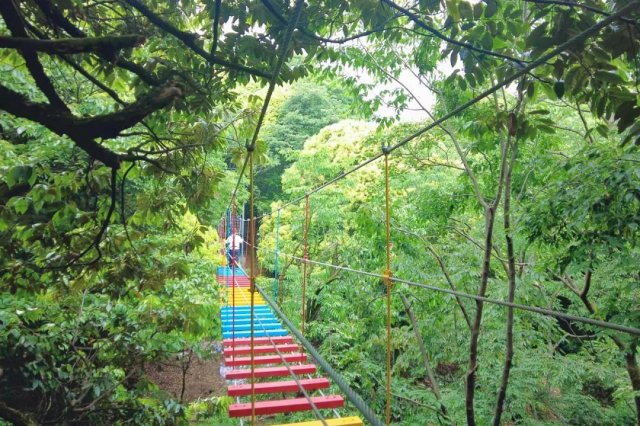 抢四大景区门票礼包！赏彩林、泡温泉、拍雪山