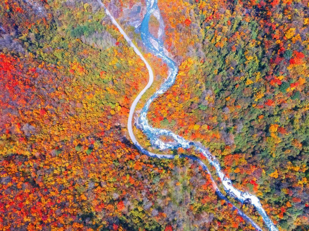 即刻启程！穿行阿坝州“童话公路”，开启阿坝之旅