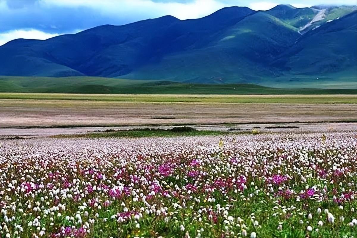 比西藏还西藏！甘孜是一个绝美隐世的旅游胜地