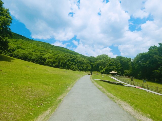 哈尔滨平山旅游景点有哪些(黑龙江平山旅游景点有哪些)