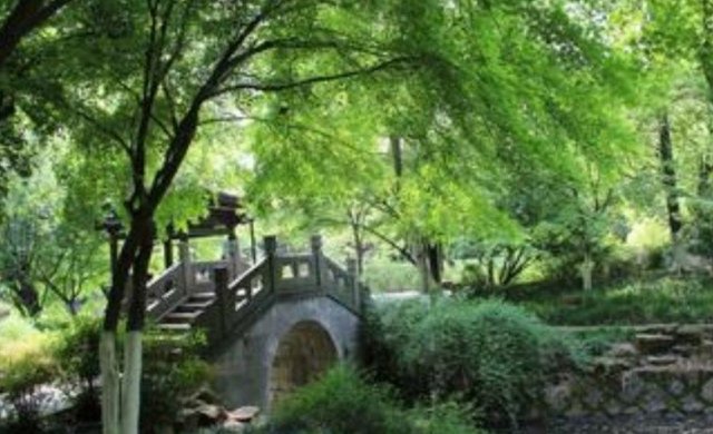 江门桃花坞风景区(泸州桃花坞风景区)