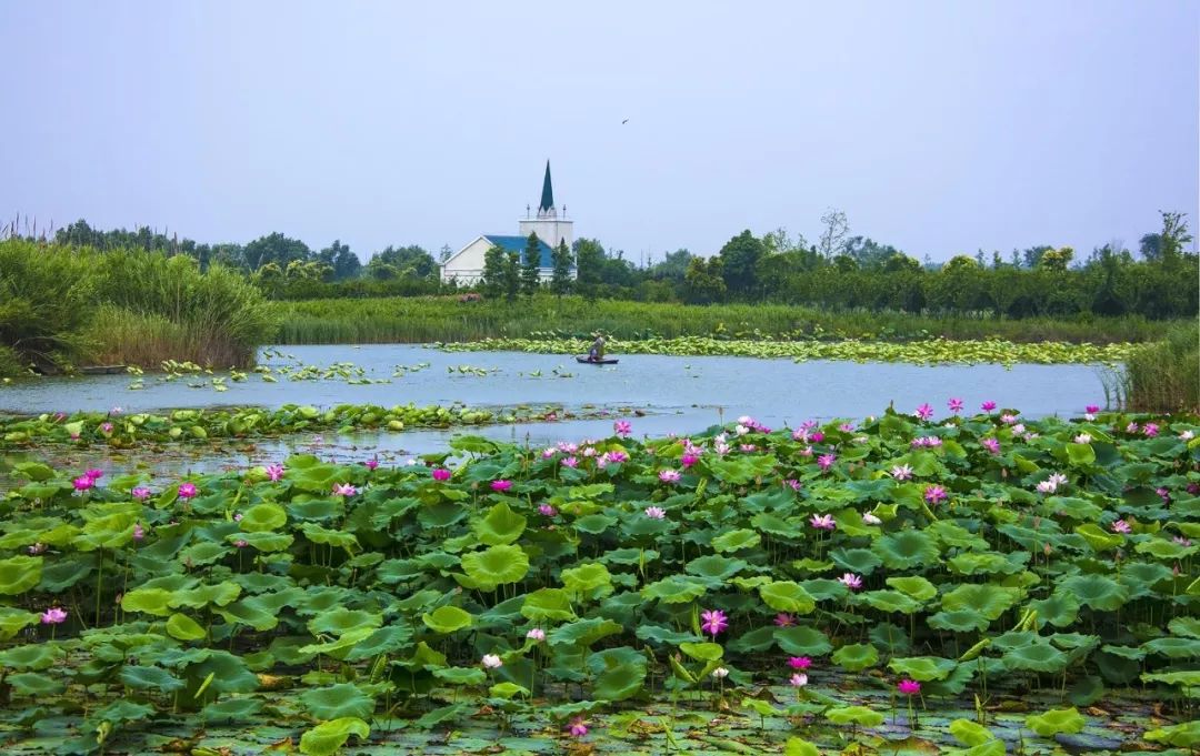 洪泽湖有你看不够的风景(带你看看洪泽湖风景)