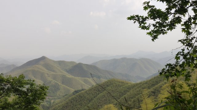 莫干山一日游怎么走(莫干山一日自驾游)