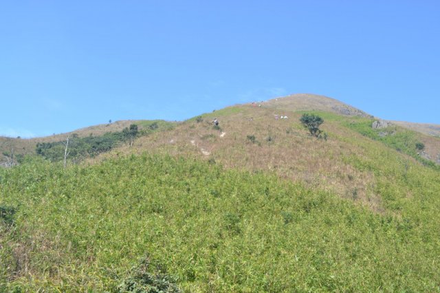 银瓶山森林公园门票多少钱(银瓶山森林公园攻略)