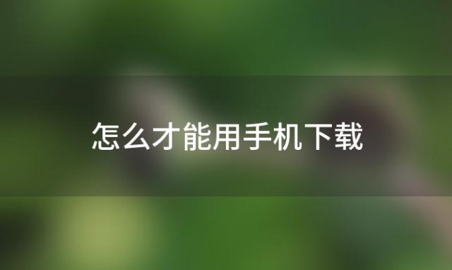 怎么才能用手机下载(怎么下载手机手游)