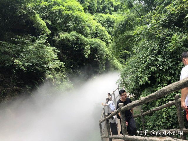 竹海在四川哪里(川西竹海需要爬山吗)