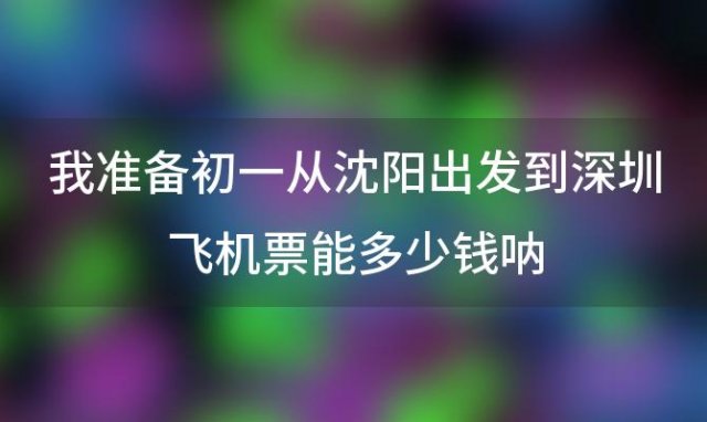 我准备初一从沈阳出发到深圳飞机票能多少钱呐