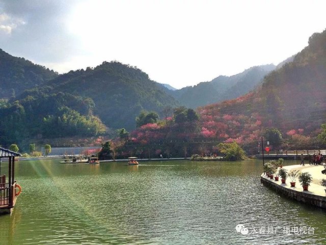 泉州旅游景点有哪些(泉州有什么好玩的地方旅游景点)