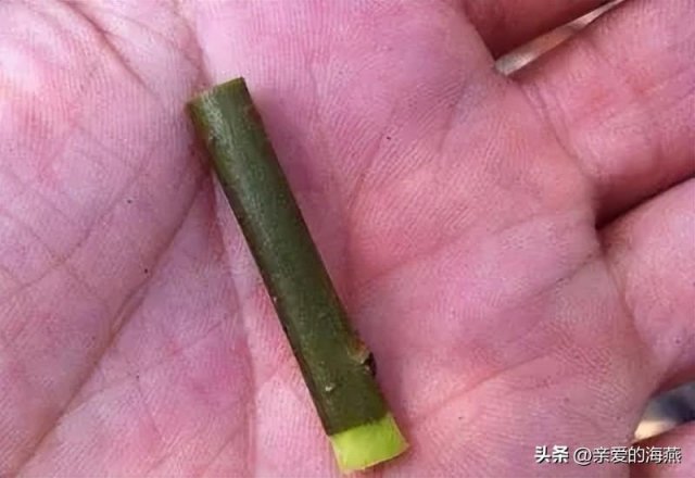 80后的你，还记得儿时的玩具吗