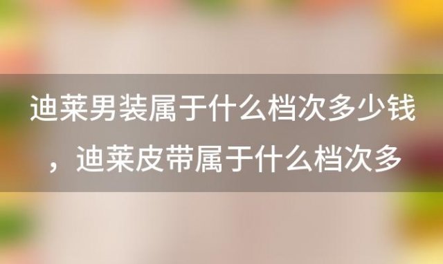 迪莱男装属于什么档次多少钱，迪莱皮带属于什么档次多少钱