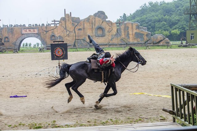 马的电影有什么 关于马的10部电影介绍(马的电影六部)