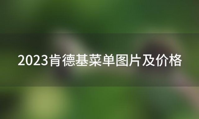 2023肯德基菜单图片及价格(肯德基单品价格2023)(肯德基的价目表)