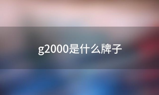 g2000是什么牌子(g2000是什么档次)