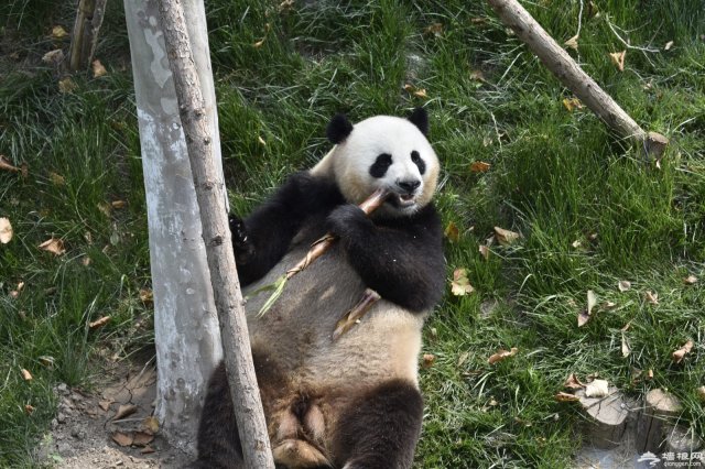 天津亿利生态精灵乐园门票多少钱 天津亿利生态精灵乐园怎么样