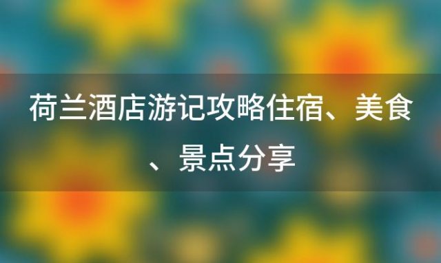 荷兰酒店游记攻略：住宿、美食、景点分享