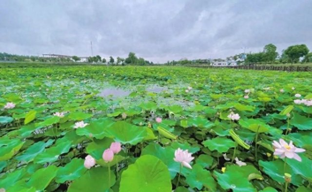 淮安十大必玩景点有哪些 淮安旅游必去十大景点