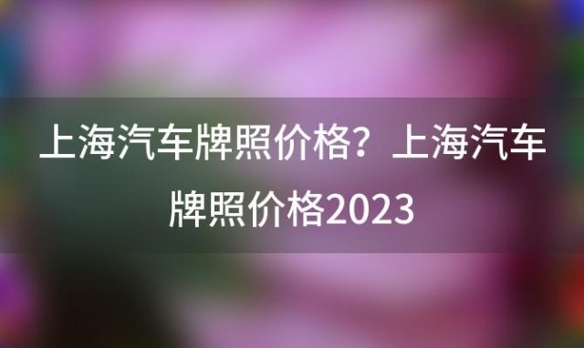 上海汽车牌照价格？上海汽车牌照价格2023