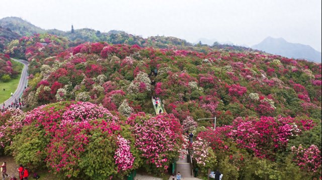 夏天最值得去的7个地方是，夏天最值得去的7个地方有哪些