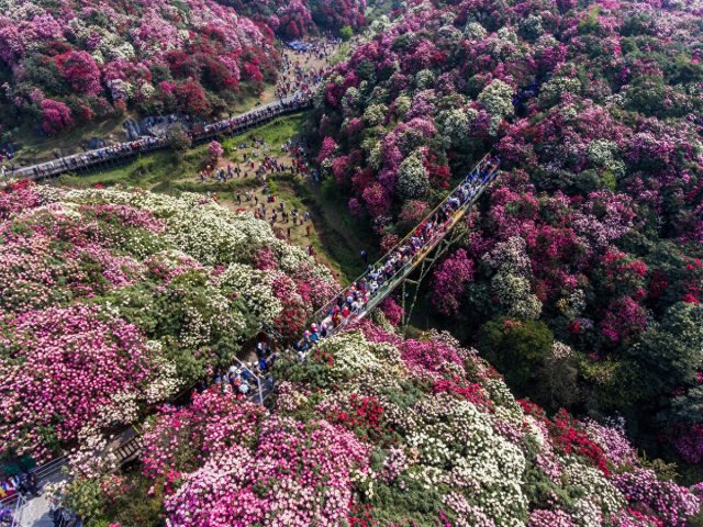 夏天最值得去的7个地方是，夏天最值得去的7个地方有哪些