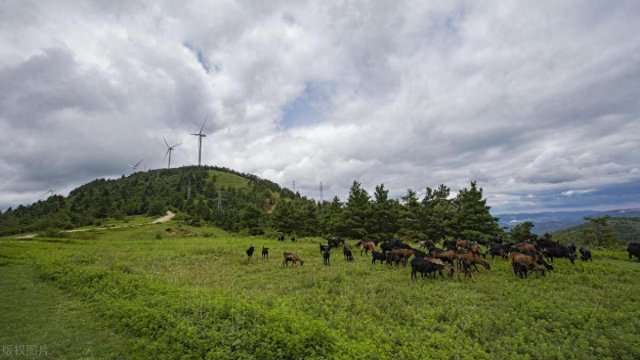 昆明爬山的好去处「昆明哪里爬山好玩」