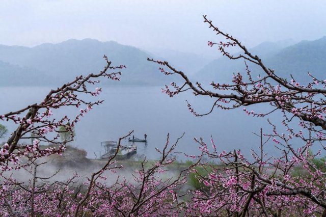 浙江九大著名岛屿有哪些，浙江九大著名岛屿是哪些