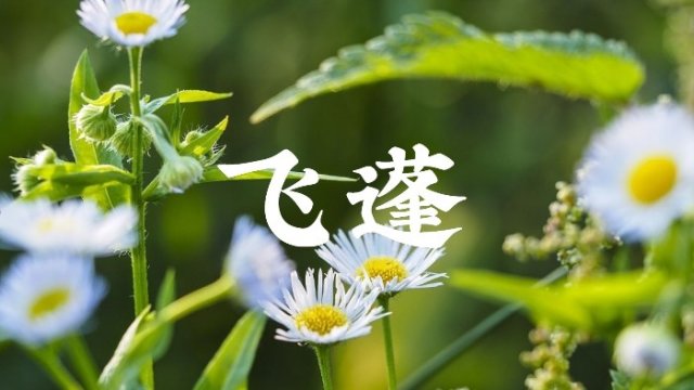 中药名称大全，中药名称大全 好听