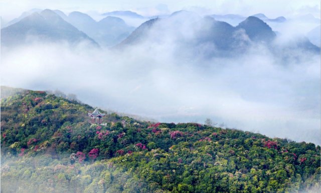 毕节十大著名景点(贵州毕节旅游十大景点排名)