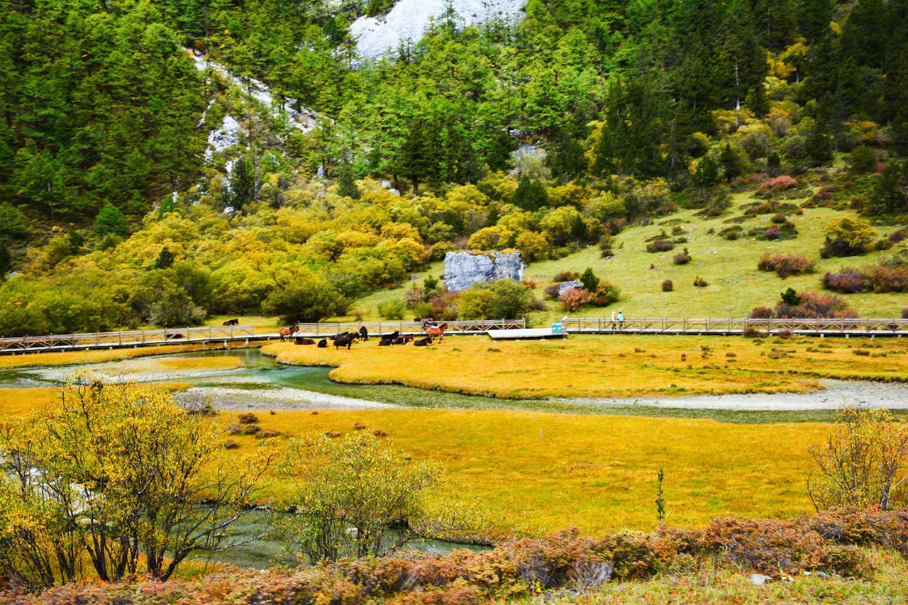 甘孜旅游必去十大景点「新县十大旅游景点」