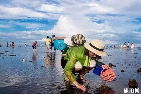 欺山赶海是什么意思「追山赶海是什么意思」