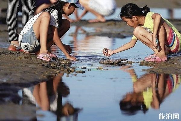 欺山赶海是什么意思「追山赶海是什么意思」