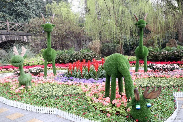 石家庄市植物园门票，石家庄植物园门票最新通知