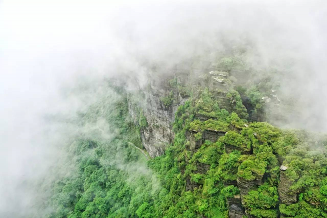 梵净山旅游景点介绍 梵净山特色