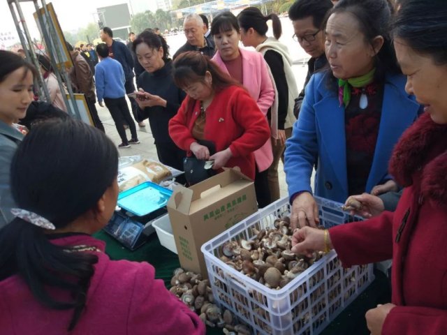 禹州特产都有什么，禹州被称为钧瓷之都哪些禹州的美食特产