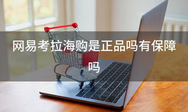 网易考拉海购是正品吗有保障吗「网易考拉海购是正品吗」