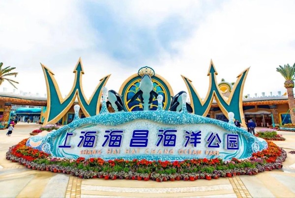 上海海昌海洋公园度假酒店 高级大床房1晚套餐