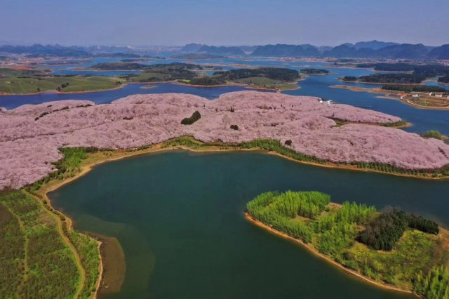 封开旅游住宿价格 封开旅游住宿推荐