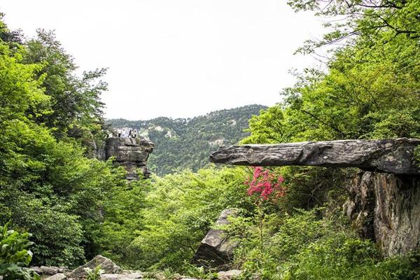 庐山一日游最佳路线多少钱「庐山1日游最佳路线」