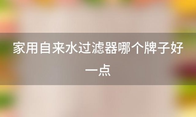 家用自来水过滤器哪个牌子好一点「家用自来水过滤器哪个牌子好些」