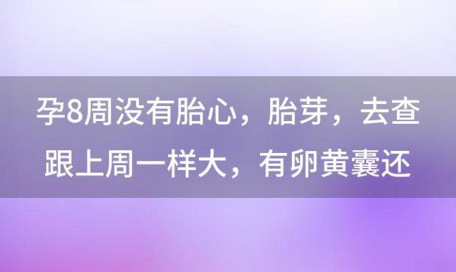 孕8周没有胎心 胎芽 去查跟上周一样大 有卵黄囊还有希望保胎吗