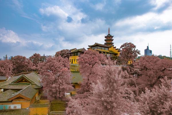 南京鸡鸣寺要门票多少钱，2023年南京鸡鸣寺门票多少钱