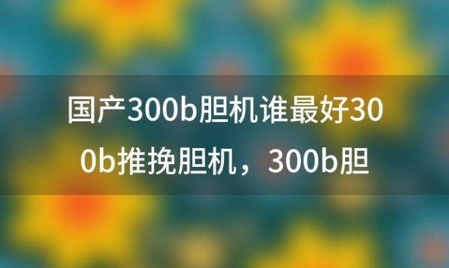 国产300b胆机谁最好300b推挽胆机，300b胆机推4429