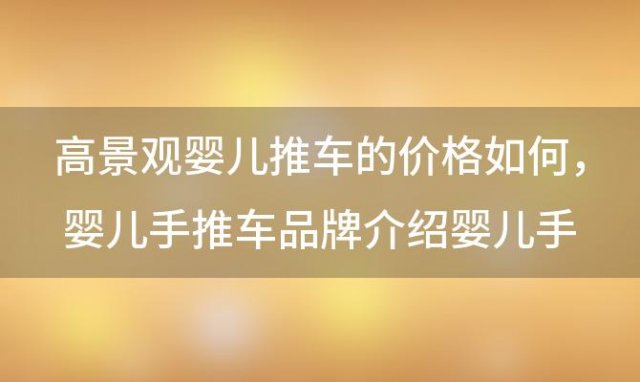 高景观婴儿推车的价格如何 婴儿手推车品牌介绍婴儿手推车价格