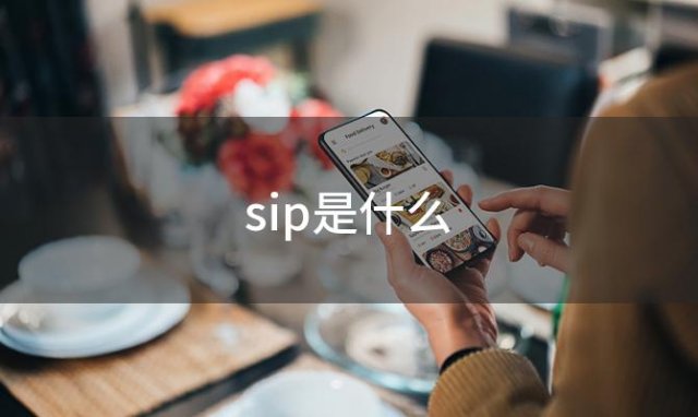 sip是什么(SIP是什么 SIP都有什么含义)