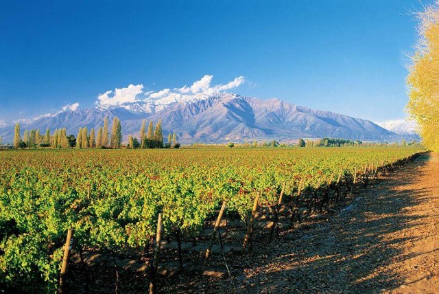 智利十大著名山脉排名「智利十大著名山脉是什么」