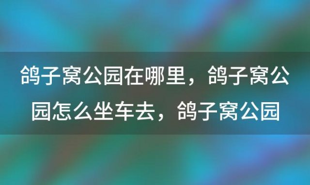 鸽子窝公园在哪里 鸽子窝公园怎么坐车去，鸽子窝公园游玩攻略