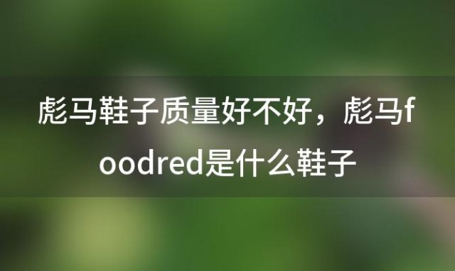 彪马鞋子质量好不好 彪马foodred是什么鞋子